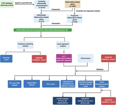 Inflammation-Related Genes Serve as Prognostic Biomarkers and Involve in Immunosuppressive Microenvironment to Promote Gastric Cancer Progression